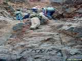 Click to see arg078c.jpg