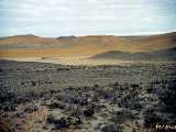 Click to see arg331c.jpg