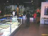 Click to see DSCN3256c.jpg