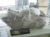 Click to see DSCN3276c.jpg