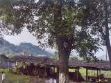 Click to see guilin144c.jpg