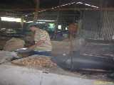 Click to see DSCN4222c.jpg