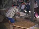 Click to see DSCN4223c.jpg