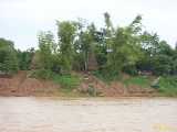 Click to see DSCN4454c.jpg