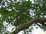 Click to see DSCN4512c.jpg