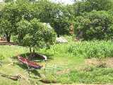 Click to see DSCN4574c.jpg