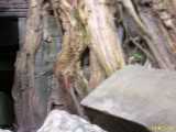 Click to see DSCN4738c.jpg