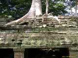 Click to see DSCN4744c.jpg
