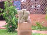 Click to see DSCN4845c.jpg