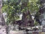 Click to see siemreap036c.jpg