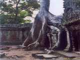 Click to see siemreap042c.jpg