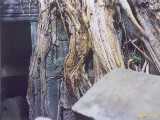 Click to see siemreap046c.jpg