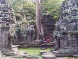 Click to see siemreap055c.jpg