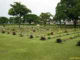 Click to see DSCN4906c.jpg