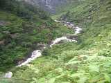 Click to see DSCN3447c.jpg