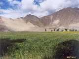 Click to see tibet006c.jpg