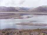 Click to see tibet007c.jpg