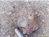 Click to see tibet088c.jpg