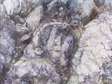 Click to see tibet115c.jpg