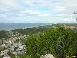 Click to see DSCN3778c.jpg