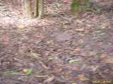 Click to see DSCN4015c.jpg