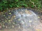 Click to see DSCN4054c.jpg
