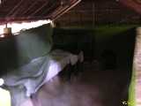Click to see DSCN4055c.jpg
