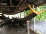 Click to see IMG_1350c.jpg
