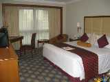 Click to see IMG_1385c.jpg