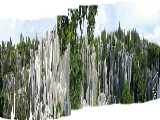 Click to see stoneforestpanc.jpg