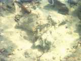 Click to see bahamas020c.jpg