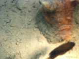 Click to see bahamas021c.jpg