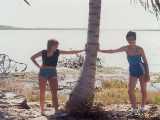 Click to see bahamas023c.jpg