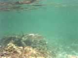 Click to see bahamas033c.jpg
