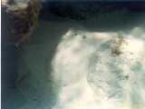 Click to see bahamas040c.jpg