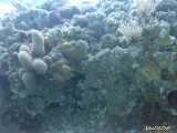 Click to see bahamas042c.jpg