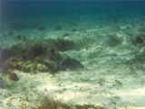 Click to see bahamas061c.jpg