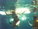 Click to see bahamas064c.jpg