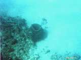 Click to see bahamas065c.jpg