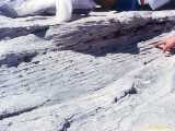 Click to see bahamas086c.jpg