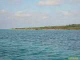Click to see DSCN6532s.jpg