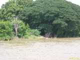 Click to see DSCN6661c.jpg
