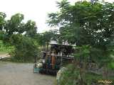 Click to see IMG_0260c.jpg