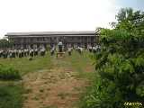 Click to see IMG_0751c.jpg