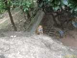 Click to see IMG_1095c.jpg