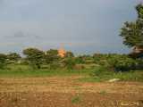 Click to see IMG_1328c.jpg