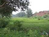 Click to see IMG_1375c.jpg