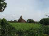 Click to see IMG_1413c.jpg