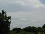 Click to see IMG_1447c.jpg