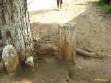 Click to see IMG_1449c.jpg